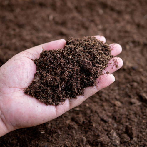 Proč se kompost nerozkládá (a jak ho urychlit)